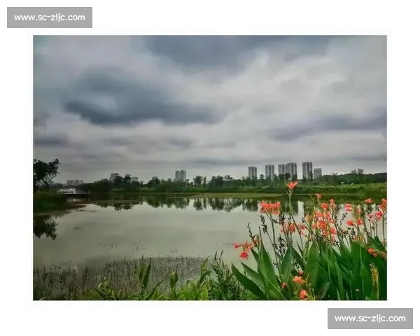 意见簿变身暖心册:青龙湖畔见证全球谢意与中国温度 意见簿变身暖心册:青龙湖畔见证全球谢意与中国温度